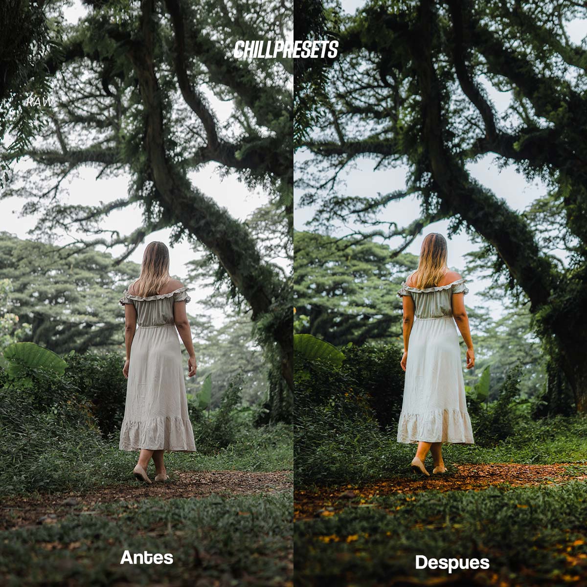 The Master Collections - Lightroom Presets