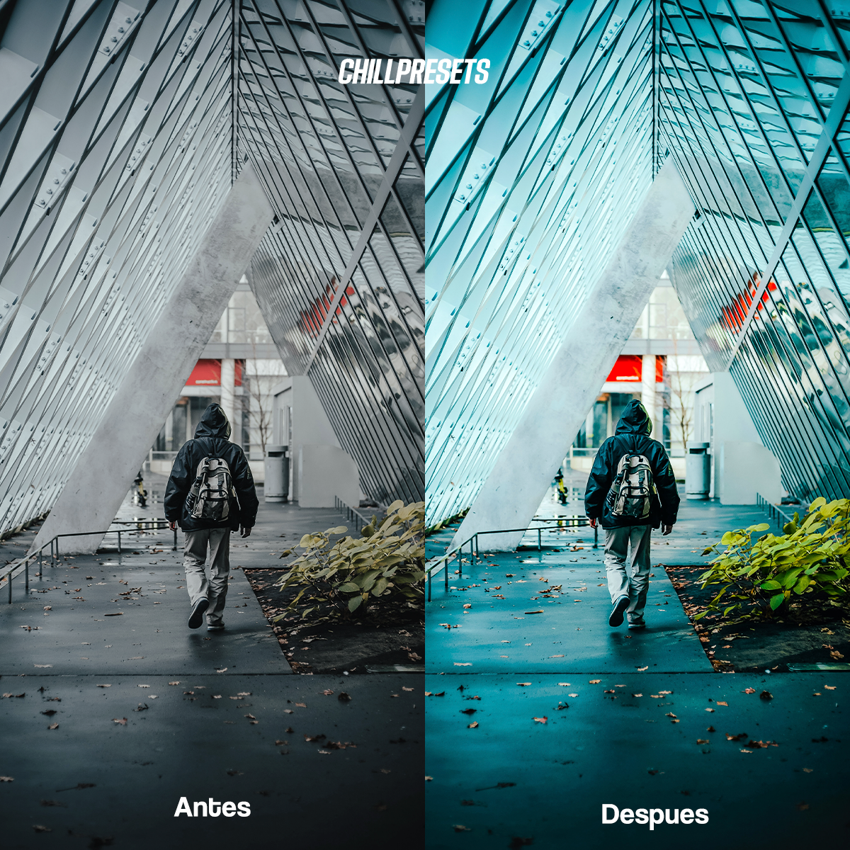 The Master Collections - Lightroom Presets