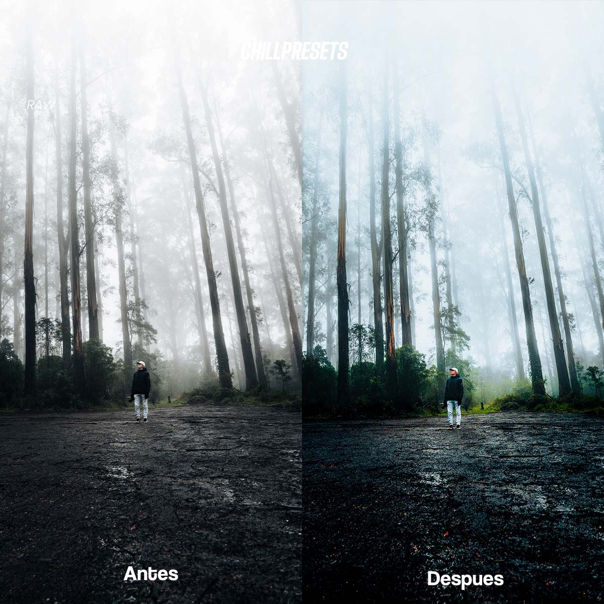 The Master Collections - Lightroom Presets