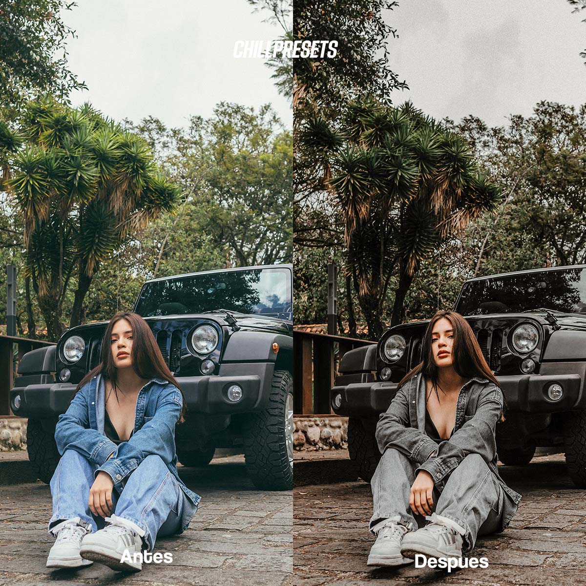 The Master Collections - Lightroom Presets