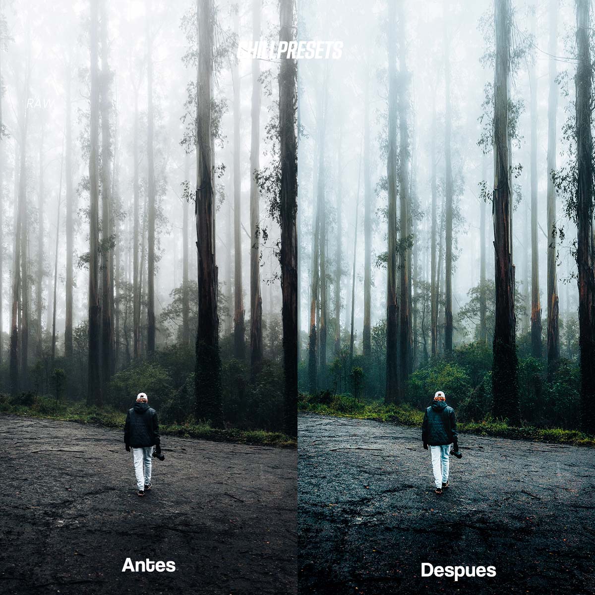 The Master Collections - Lightroom Presets