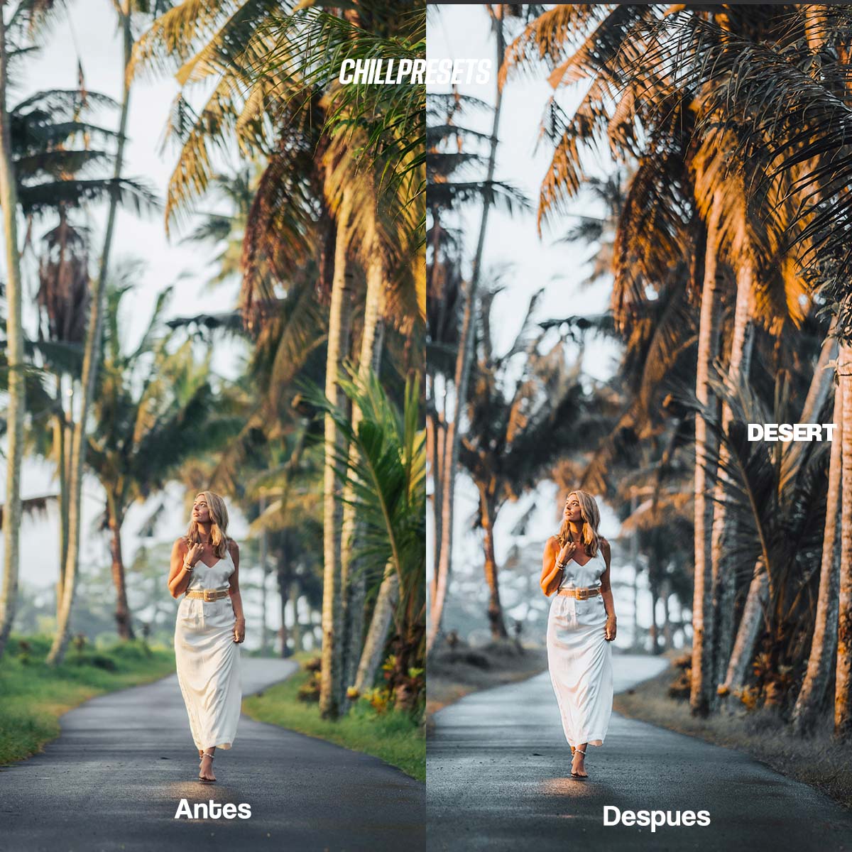 The Master Collections - Lightroom Presets