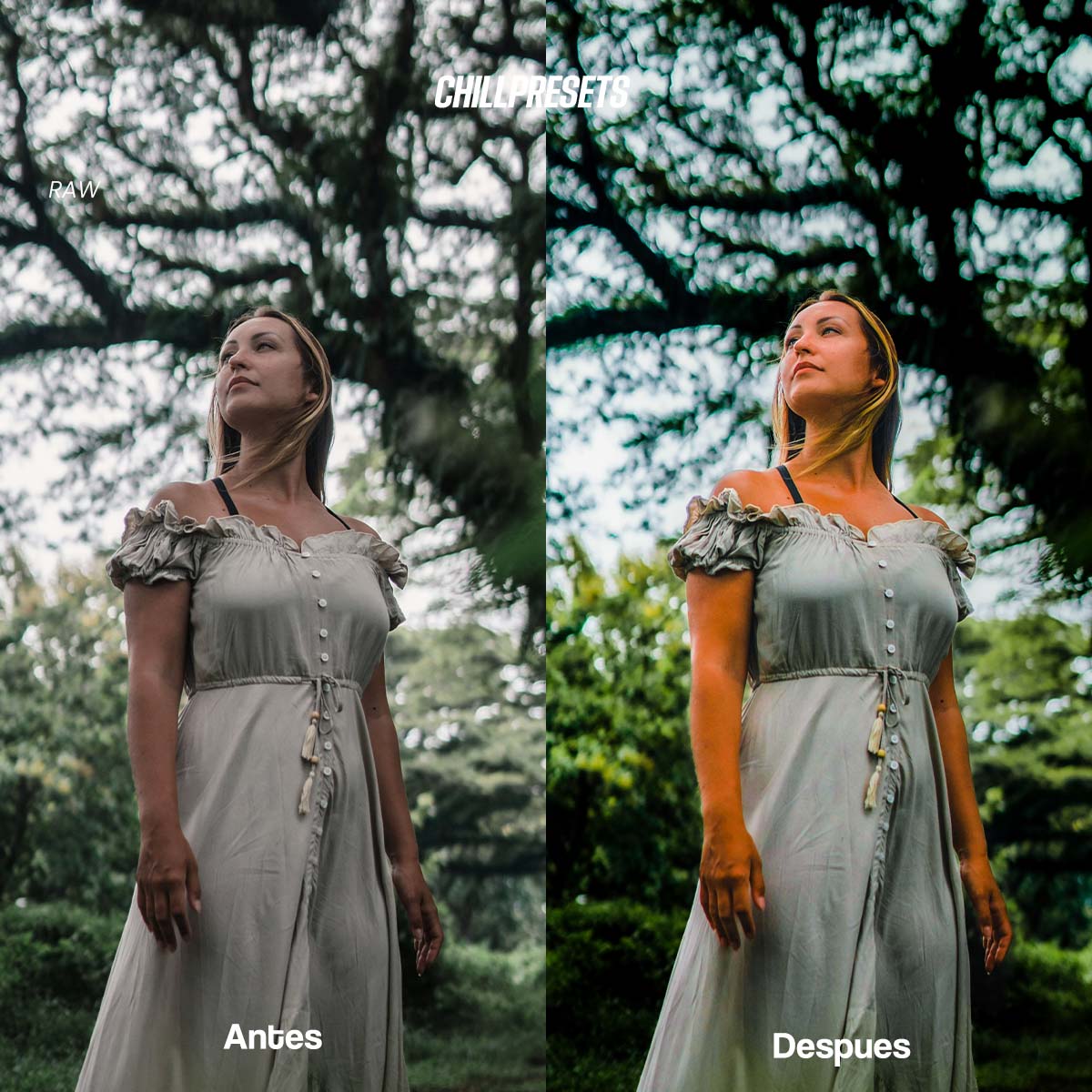 The Master Collections - Lightroom Presets