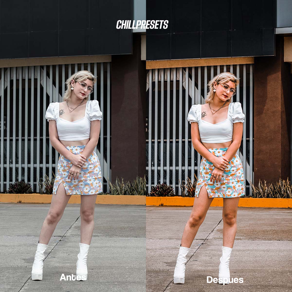 The Master Collections - Lightroom Presets